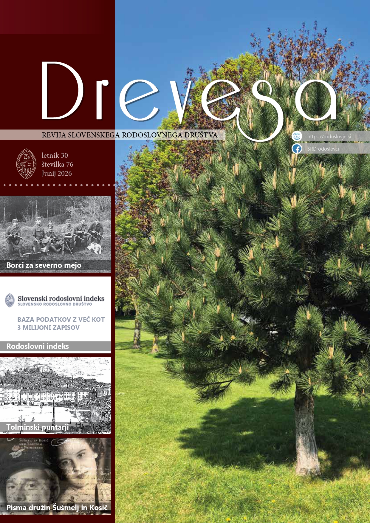 Domov Junijska številka revije Drevesa